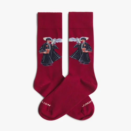 Harry Potter The Boy Who Lived Sock